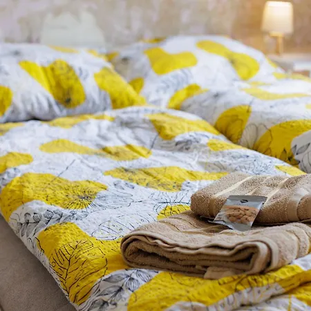 شقة Design In The Heart Of كارلوفي فاري